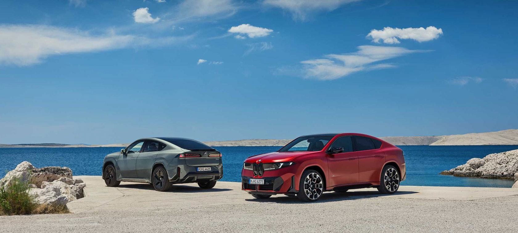Yeni BMW iX4.